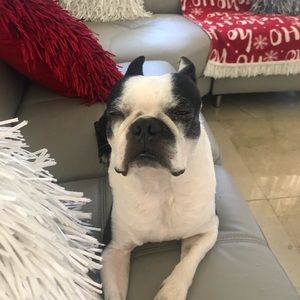 Meet your Posher, Jaime